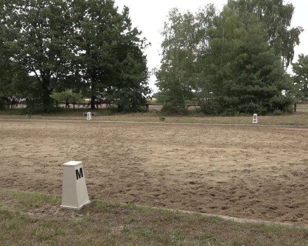 Reitturnier Thönse 2023