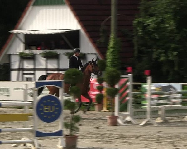 Reitturnier Vlotho-Exter 2023