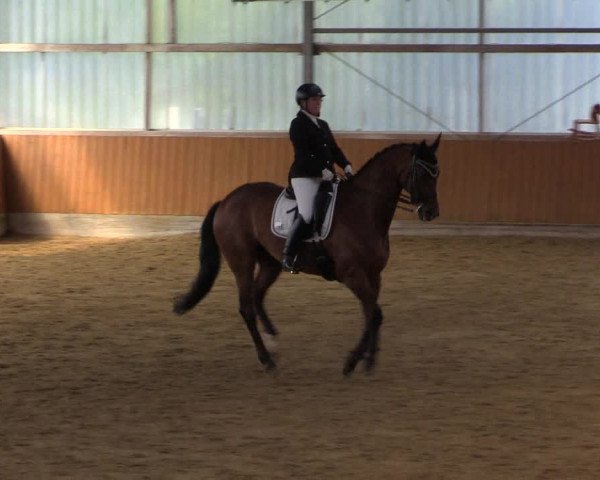 Reitturnier Herbern 2023
