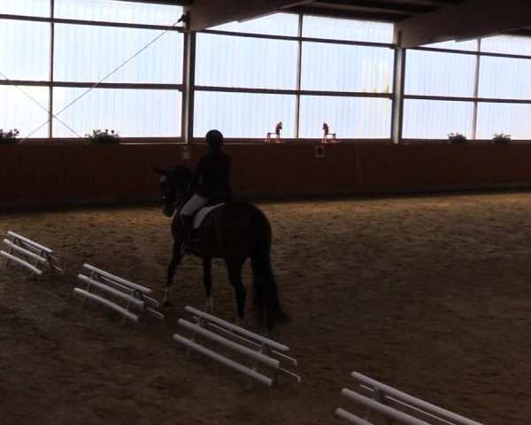 Reitturnier Herbern 2023
