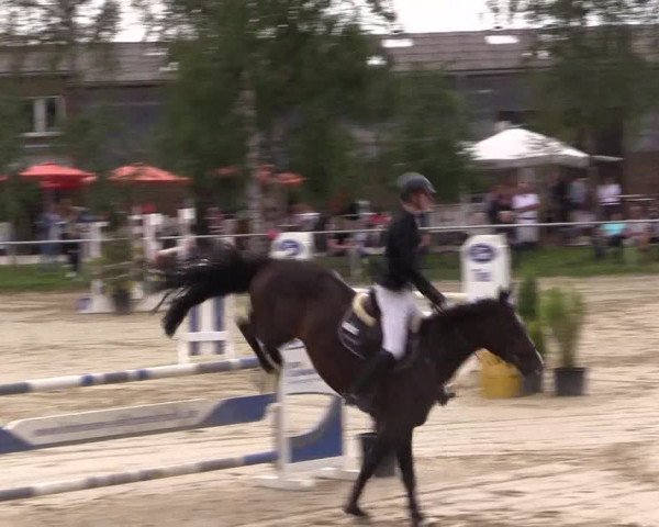 Reitturnier Herbern 2023