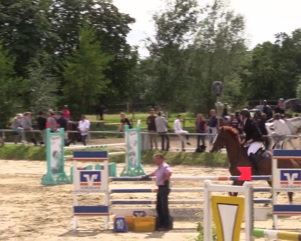Reitturnier Herbern 2023