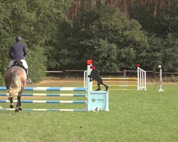 Reitturnier Thönse 2023