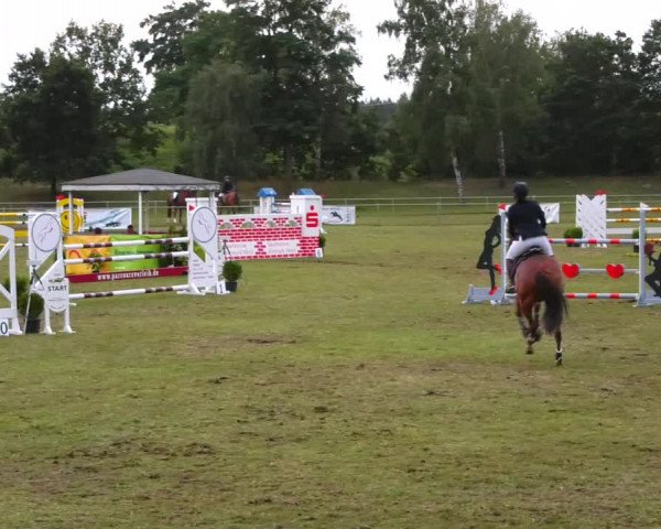 Reitturnier Gardelegen 2023