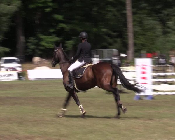 Reitturnier Boock 2023