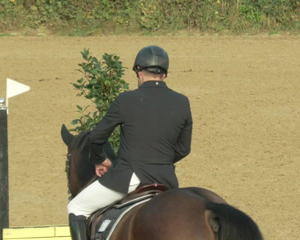 Reitturnier Böblingen 2021