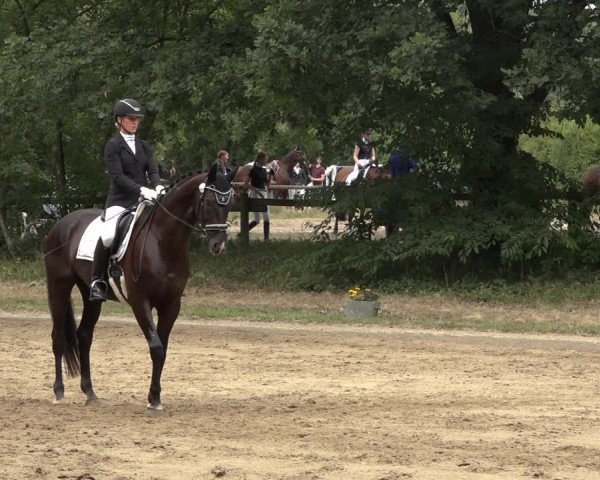 Reitturnier Thönse 2023
