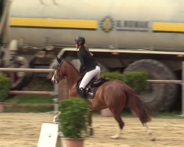 Reitturnier Viersen-Dülken 2023