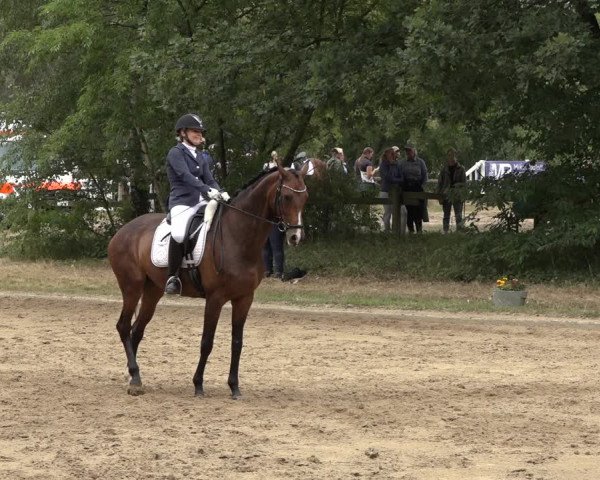 Reitturnier Thönse 2023