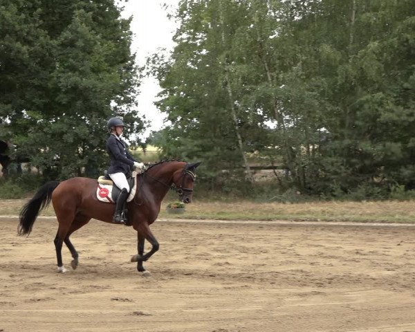 Reitturnier Thönse 2023