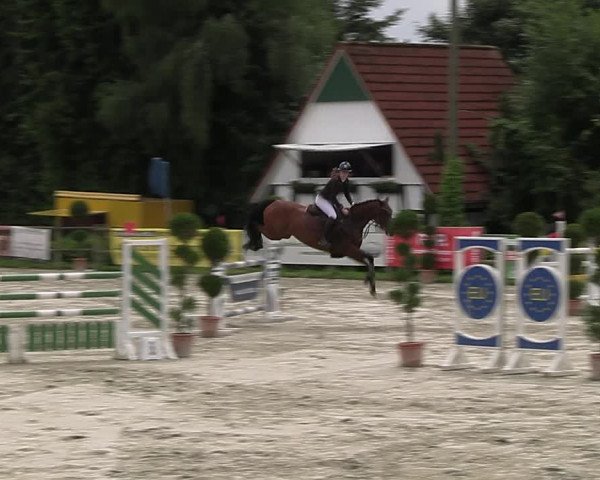 Reitturnier Vlotho-Exter 2023