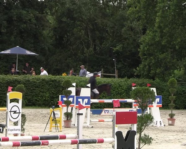 Reitturnier Vlotho-Exter 2023