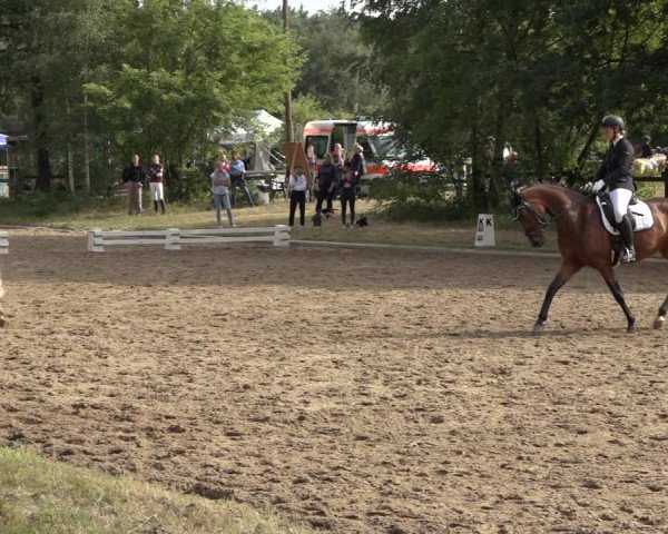 Reitturnier Thönse 2023