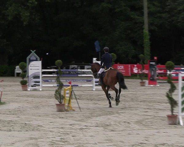 Reitturnier Vlotho-Exter 2023