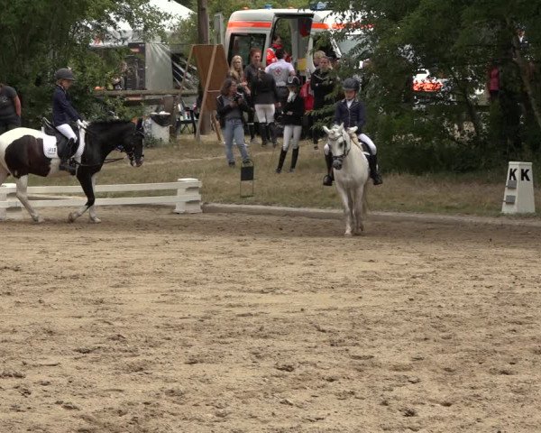 Reitturnier Thönse 2023