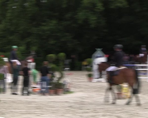 Reitturnier Vlotho-Exter 2023