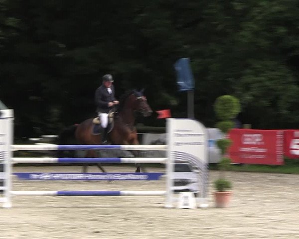 Reitturnier Vlotho-Exter 2023