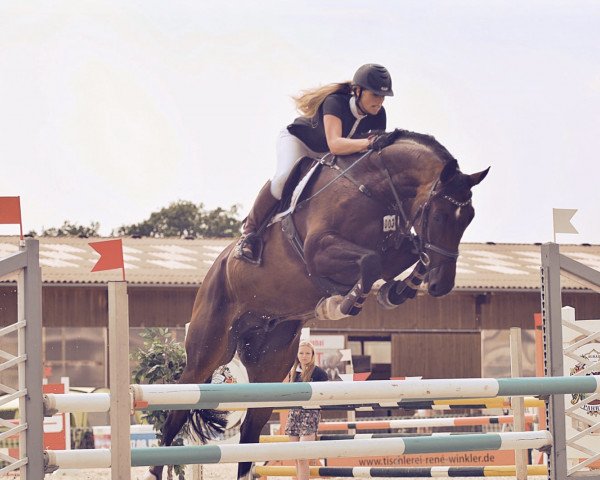 jumper Brooklyn GE (German Sport Horse, 2009, from Blue Balou)