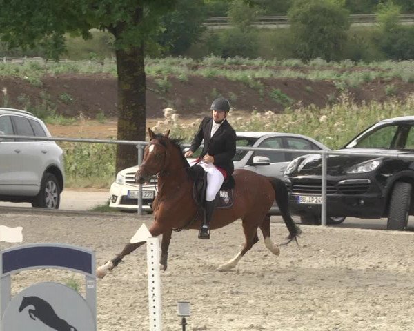 Reitturnier Ehningen 2023