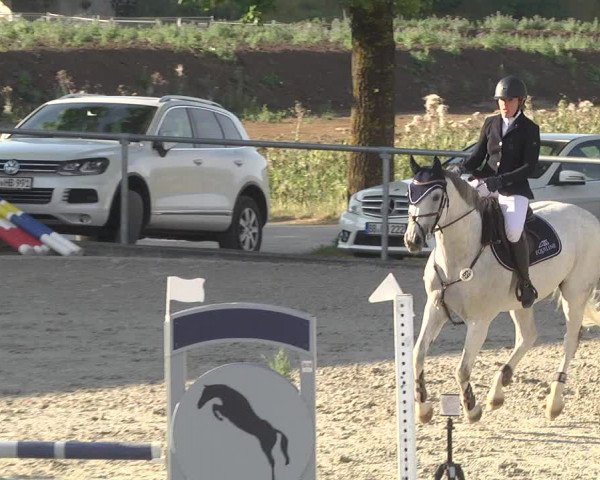Reitturnier Ehningen 2023