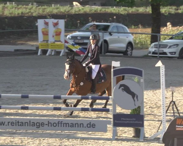 Reitturnier Ehningen 2023