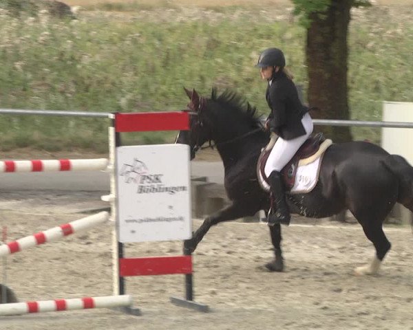 Reitturnier Ehningen 2023