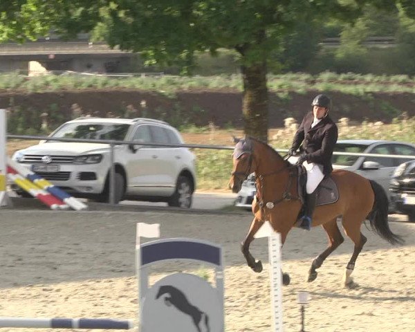 Reitturnier Ehningen 2023