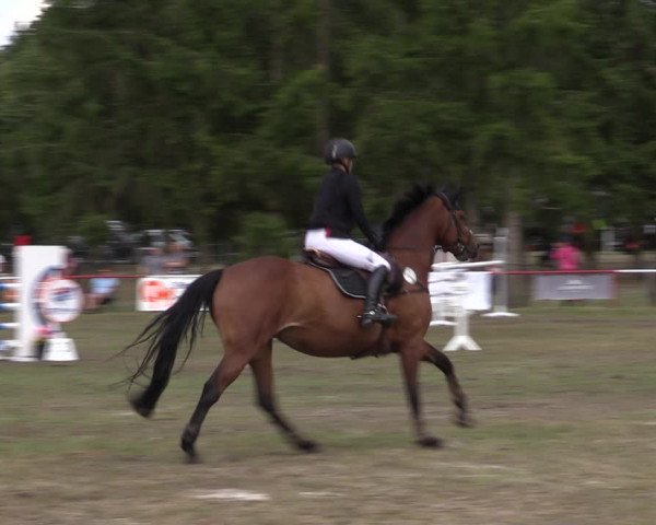 Reitturnier Boock 2023