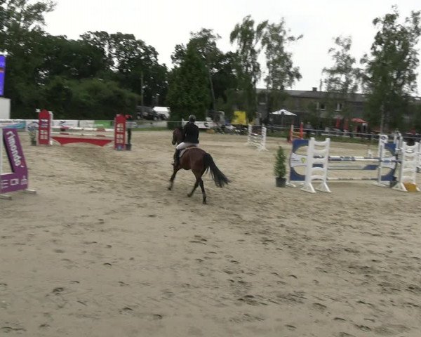 Reitturnier Herbern 2023