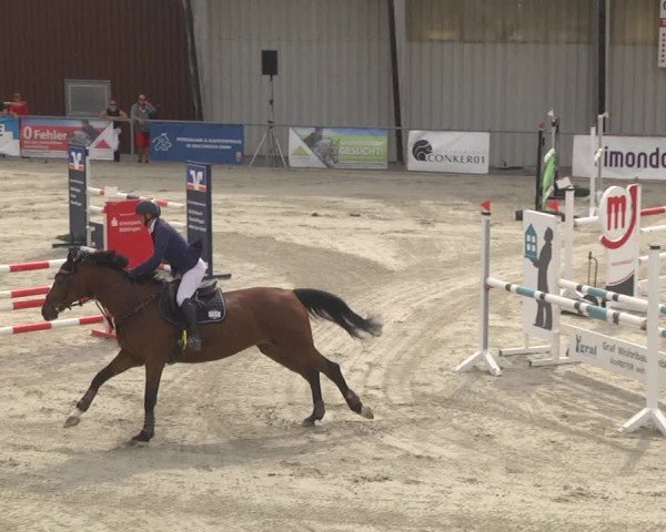 Reitturnier Ehningen 2023