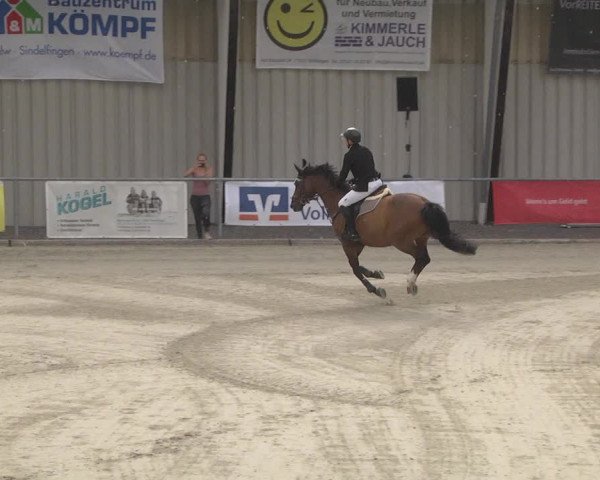 Reitturnier Ehningen 2023