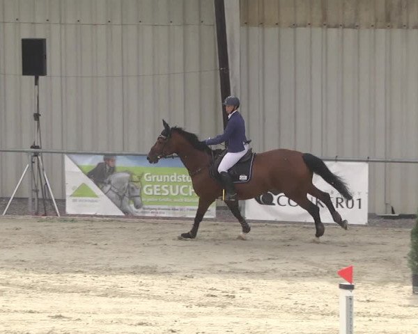 Reitturnier Ehningen 2023