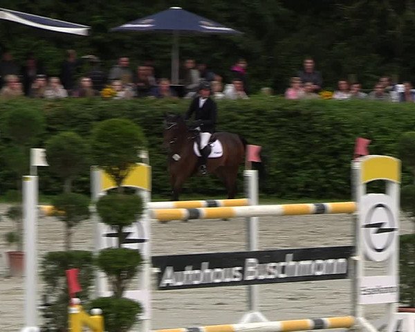 Reitturnier Vlotho-Exter 2023