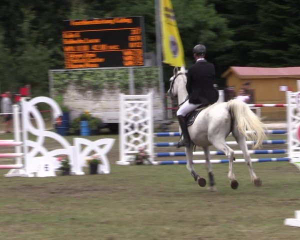 Reitturnier Boock 2023