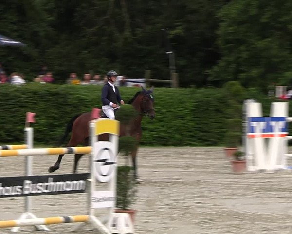 Reitturnier Vlotho-Exter 2023