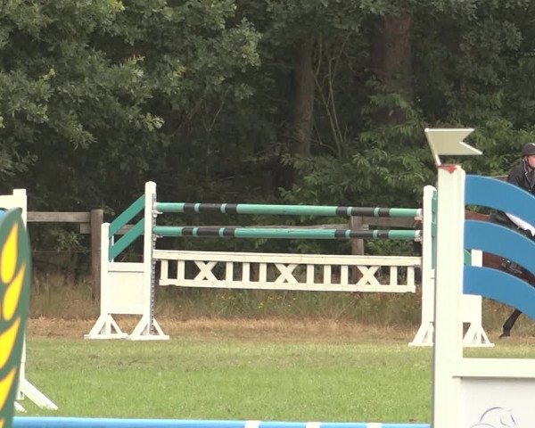 Reitturnier Thönse 2023