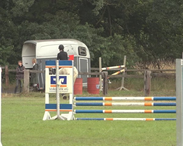 Reitturnier Thönse 2023