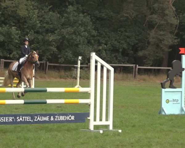 Jezdecký turnaj Thönse 2023