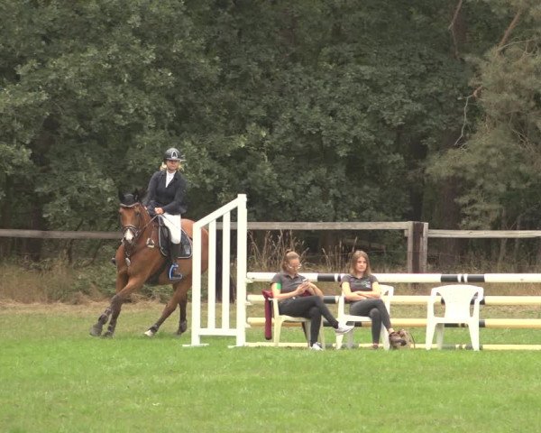 Reitturnier Thönse 2023