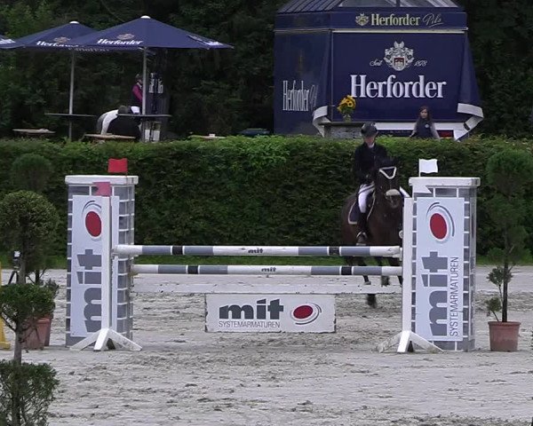 Reitturnier Vlotho-Exter 2023