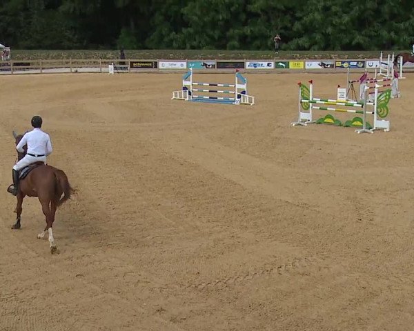 Reitturnier Tiefenhof/Opf. 2023