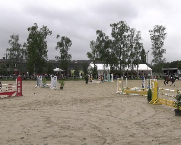 Reitturnier Herbern 2023