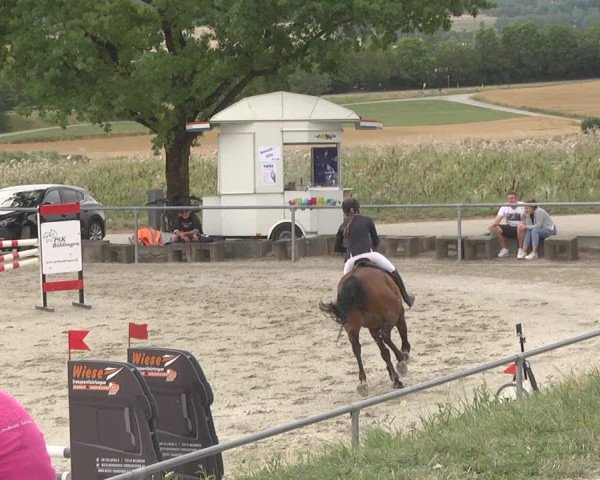 Reitturnier Ehningen 2023