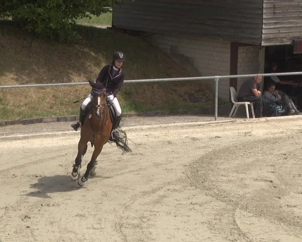 Reitturnier Ehningen 2023