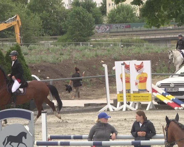Reitturnier Ehningen 2023