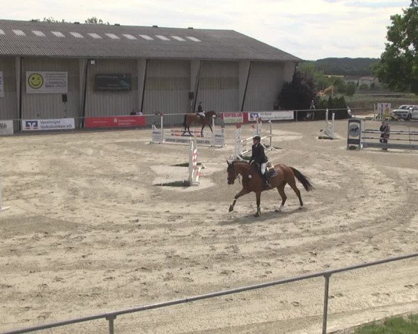 Reitturnier Ehningen 2023