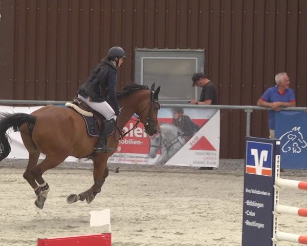Reitturnier Ehningen 2023