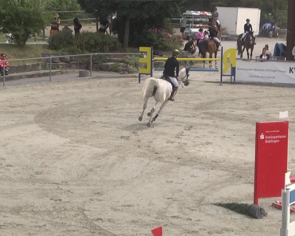 Reitturnier Ehningen 2023