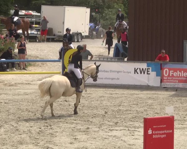 Reitturnier Ehningen 2023