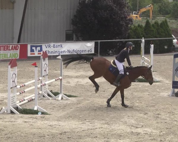 Reitturnier Ehningen 2023